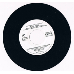 Mark Spiro She Doesn't Mean A Thing To Me Vinyl 7" USED
