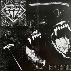 Stick To Your Guns Spectre Vinyl LP USED