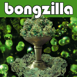 Bongzilla Stash Vinyl LP USED