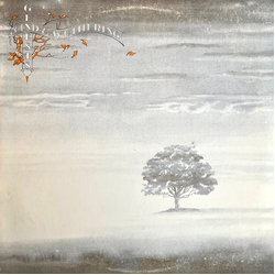 Genesis Wind & Wuthering Vinyl LP USED