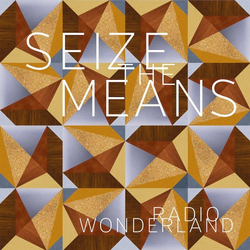 Radio Wonderland Seize The Means Vinyl LP USED