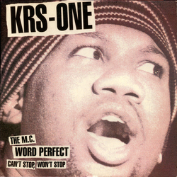 KRS-One Can't Stop, Won't Stop / The MC / Word Perfect Vinyl 12" USED