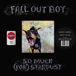 Fall Out Boy So Much (For) Stardust Vinyl LP USED