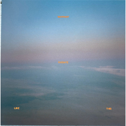 Warpaint Radiate Like This Vinyl LP USED