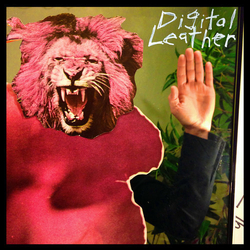 Digital Leather / The Hussy Digital Leather / The Hussy Vinyl LP USED