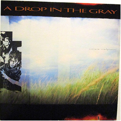 A Drop In The Gray Certain Sculptures Vinyl LP USED