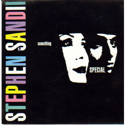 Stephen Duffy / Sandii Something Special Vinyl 7" USED