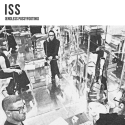 ISS (3) (Endless Pussyfooting) Vinyl LP USED
