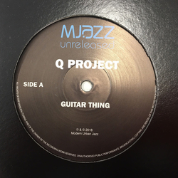 Q Project Guitar Thing Vinyl 12" USED