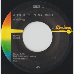 The Spinning Wheel (7) A Picture In My Mind/The Funky Alien Vinyl 7" USED