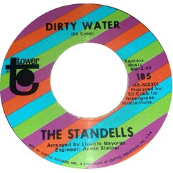 The Standells Dirty Water / Rari Vinyl 7" USED