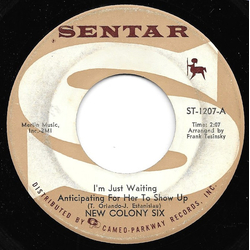 The New Colony Six I'm Just Waitin' Anticipating For Her To Show Up / Hello Lonely Vinyl 7" USED