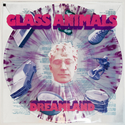Glass Animals Dreamland Vinyl LP USED