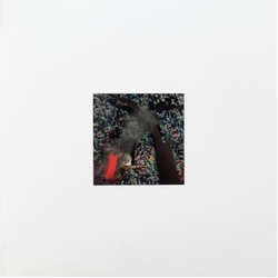 Naked Island Naked Island Vinyl LP USED