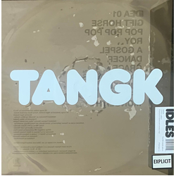 Idles Tangk Vinyl LP USED