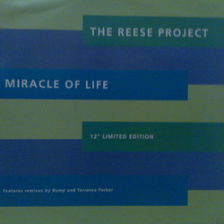 The Reese Project Miracle Of Life Vinyl 12" USED