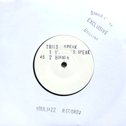 Trees Speak Machines Speak / Burner Vinyl 7" USED