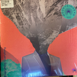 Everything Everything Mountainhead Vinyl LP USED