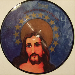 These Animal Men This Is The Sound Of Youth Vinyl 7" USED