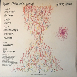Gunn Truscinski Nace Glass Band Multi Vinyl LP/Vinyl 7" USED
