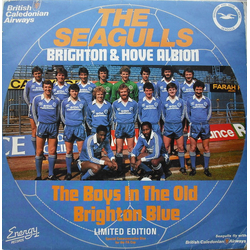 The Seagulls The Old Brighton Blue / The Goldstone Rap Vinyl 12" USED