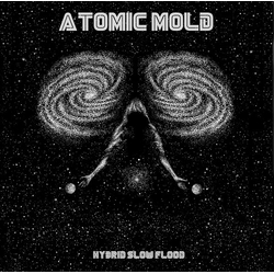 Atomic Mold Hybrid Slow Flood Vinyl LP USED