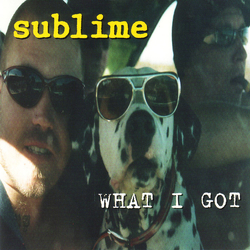 Sublime What I Got Vinyl 7" USED