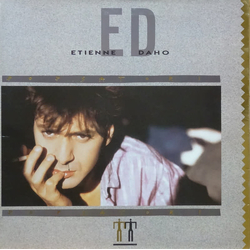 Etienne Daho Pop Satori Vinyl LP USED