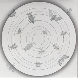 O Yuki Conjugate Insect-Talk Vinyl 12" USED