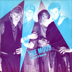 The Mood Is There A Reason Vinyl 12" USED