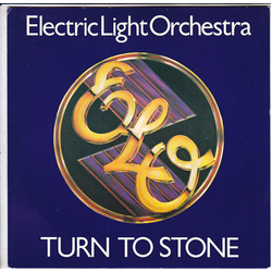 Electric Light Orchestra Turn To Stone Vinyl 7" USED