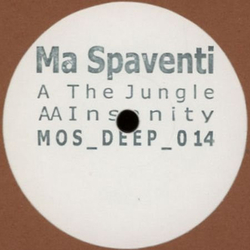 MarcoAntonio Spaventi The Jungle / Insanity Vinyl 12" USED
