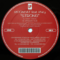 Mooncat / Mary Aware Strong Vinyl 12" USED