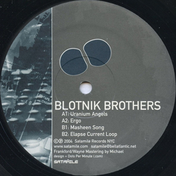 The Blotnik Brothers Pragmatic Response Vinyl 12" USED