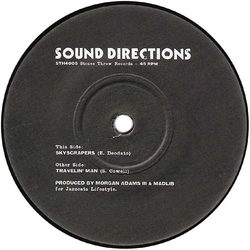 Sound Directions Skyscrapers Vinyl 7" USED