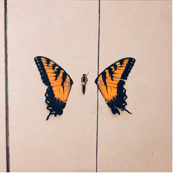 Paramore Brand New Eyes Vinyl LP USED