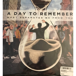 A Day To Remember What Separates Me From You Vinyl LP USED