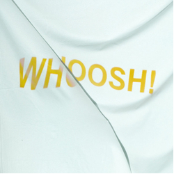 The Stroppies Whoosh Vinyl LP USED