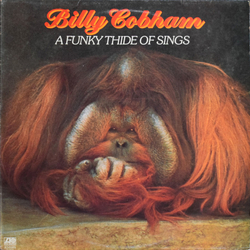 Billy Cobham A Funky Thide Of Sings Vinyl LP USED