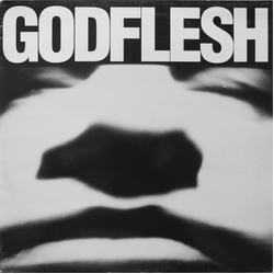 Godflesh Godflesh Vinyl LP USED