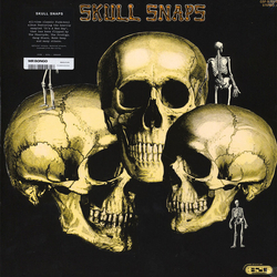 Skull Snaps Skull Snaps Vinyl LP USED