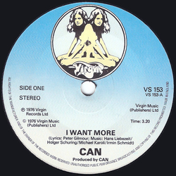 Can I Want More Vinyl 7" USED