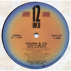 Young & Company Such A Feeling Vinyl 12" USED