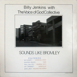 Billy Jenkins / The Voice Of God Collective Sounds Like Bromley Vinyl LP USED