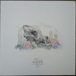 Daisyhead In Case You Missed It Vinyl LP USED