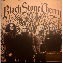 Black Stone Cherry Black Stone Cherry Vinyl LP USED