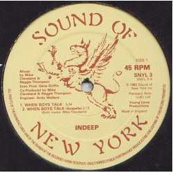 Indeep When Boys Talk Vinyl 12" USED