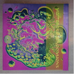 Matters (4) Echolocations Vinyl LP USED