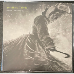 Yoshiharu Takeda Before The Blessing Vinyl LP USED