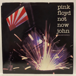 Pink Floyd Not Now John Vinyl 7" USED
